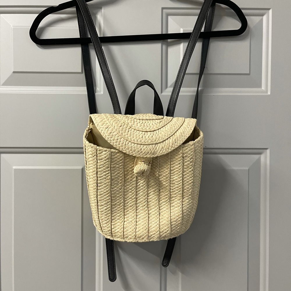 Backpack/purse